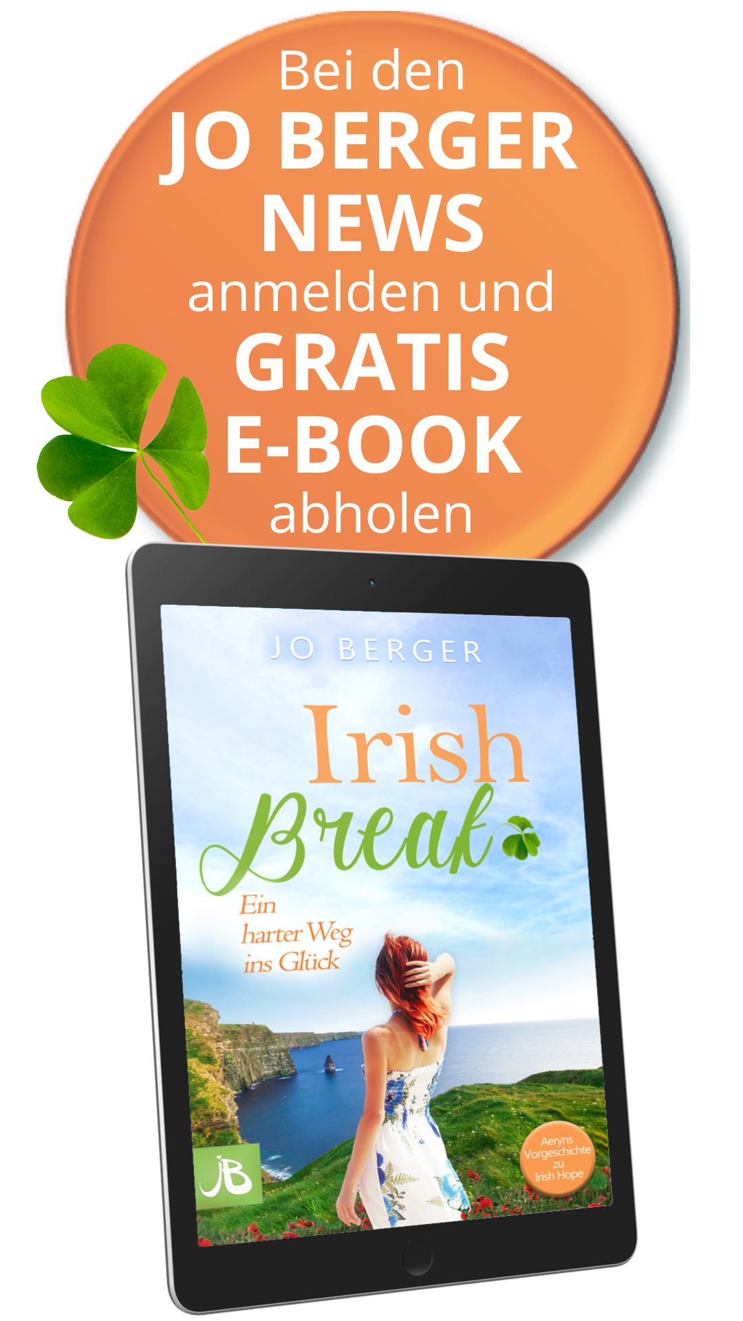 irish Break ebook
